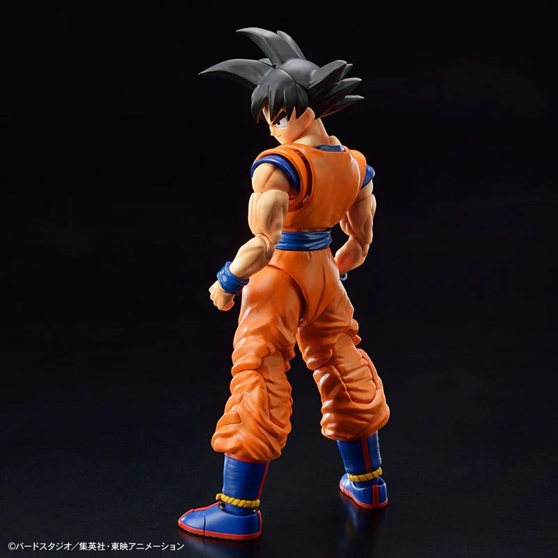 Dragon Ball Z SON GOKU (New Spec Ver.)