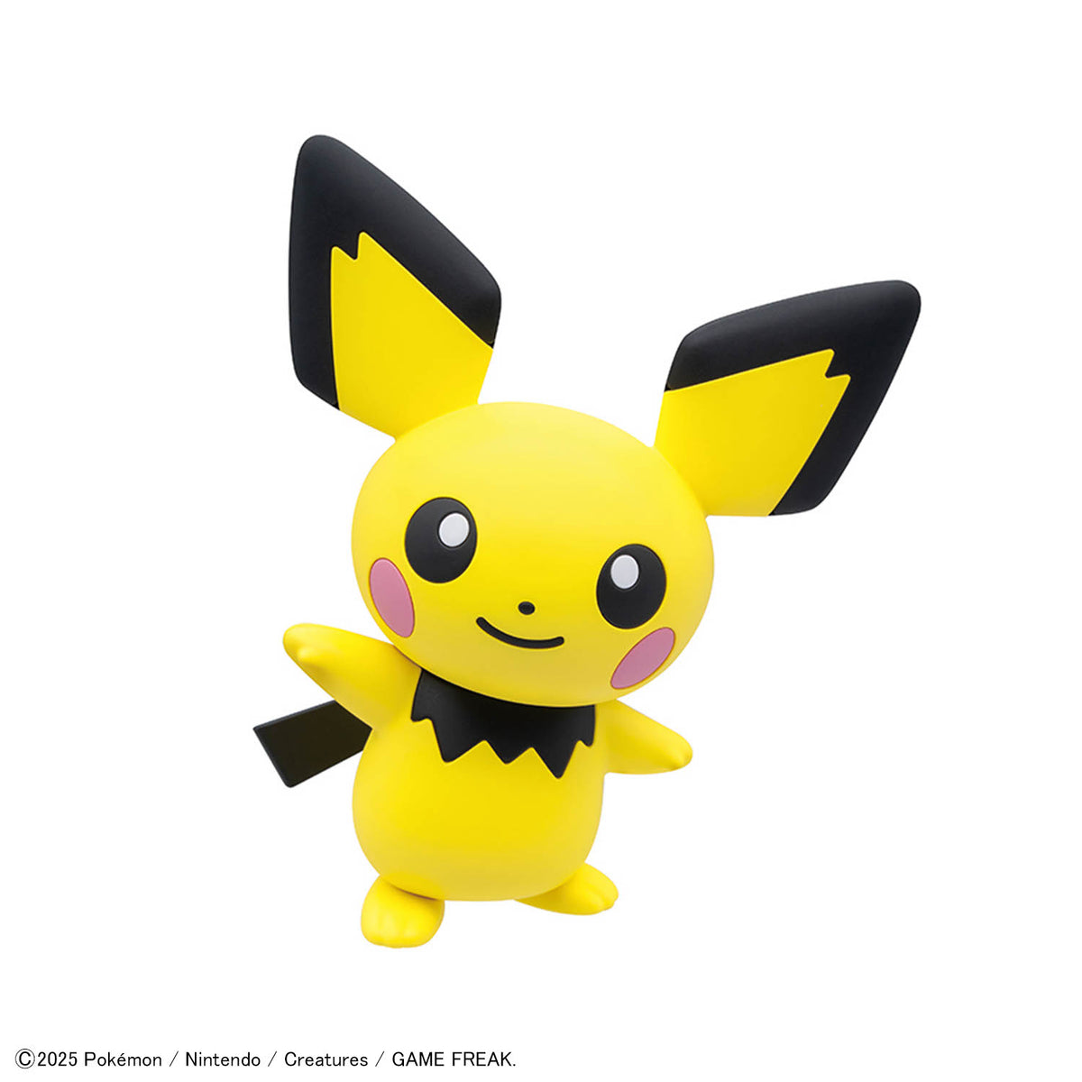 pokemon quick kit Pichu