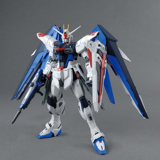 MGGS ZGMF-X10A Freedom Gundam Z.A.F.T.
