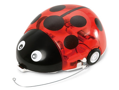 Wall Hugging Ladybug