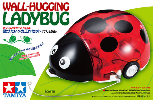 Wall Hugging Ladybug