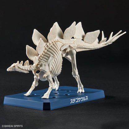 BD Plannosaurus Stegosaurus