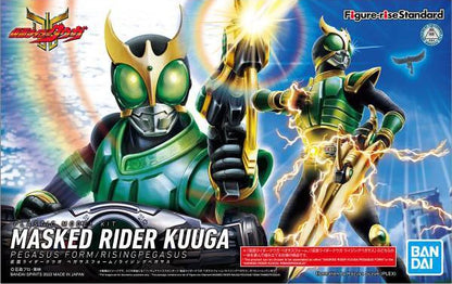 Rise Standard Kamen Rider Masked Rider KUUGA PEGASUS