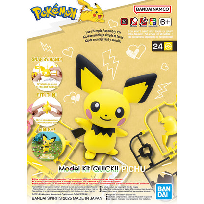 pokemon quick kit Pichu