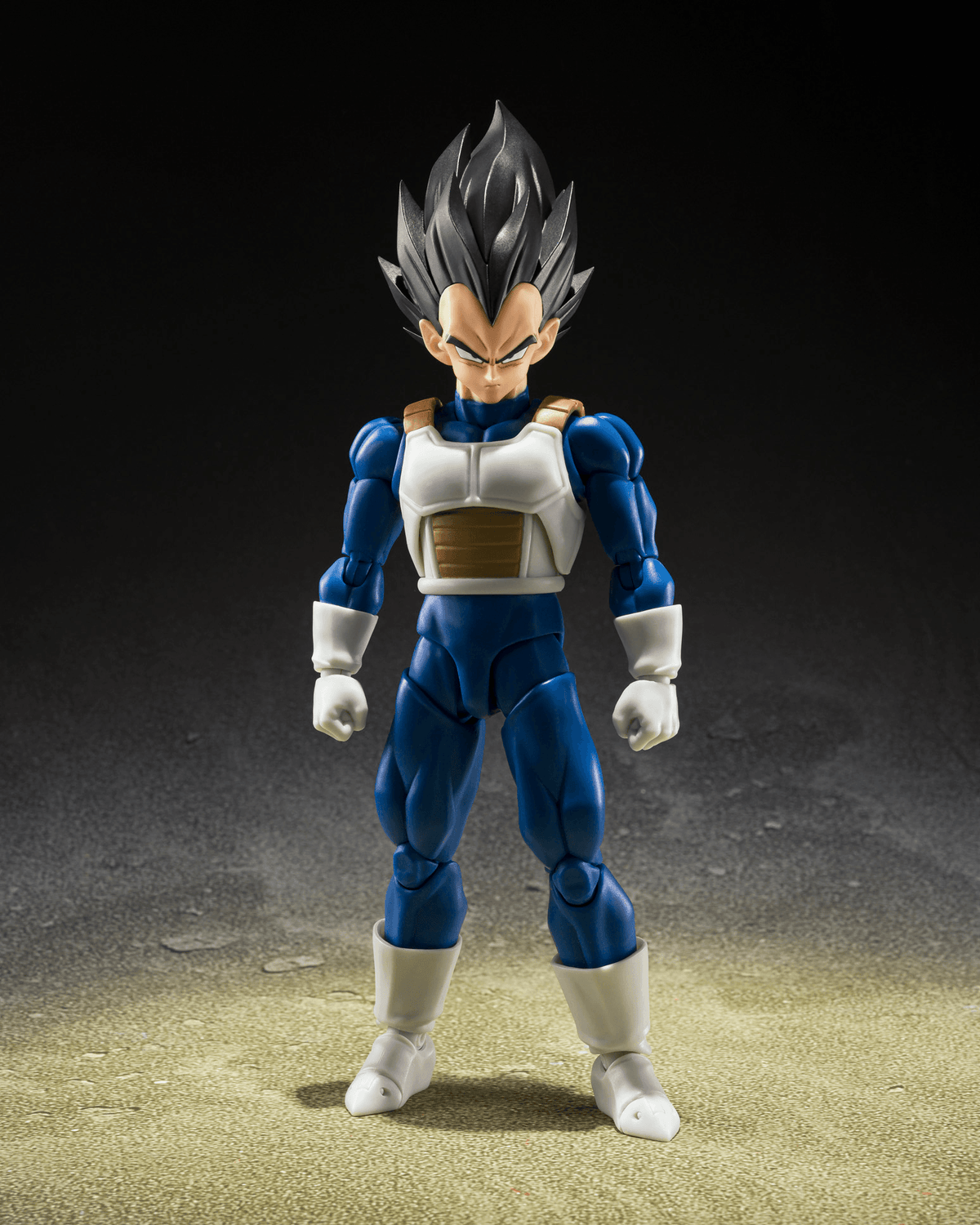 VEGETA <Z-FIGHTERS>