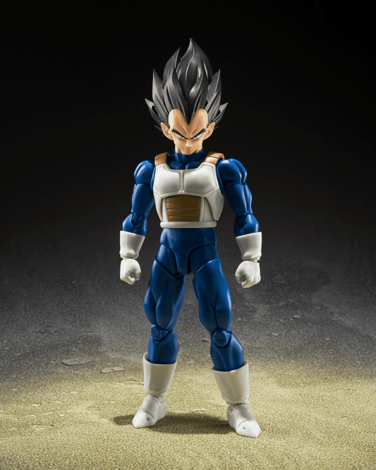 VEGETA <Z-FIGHTERS>