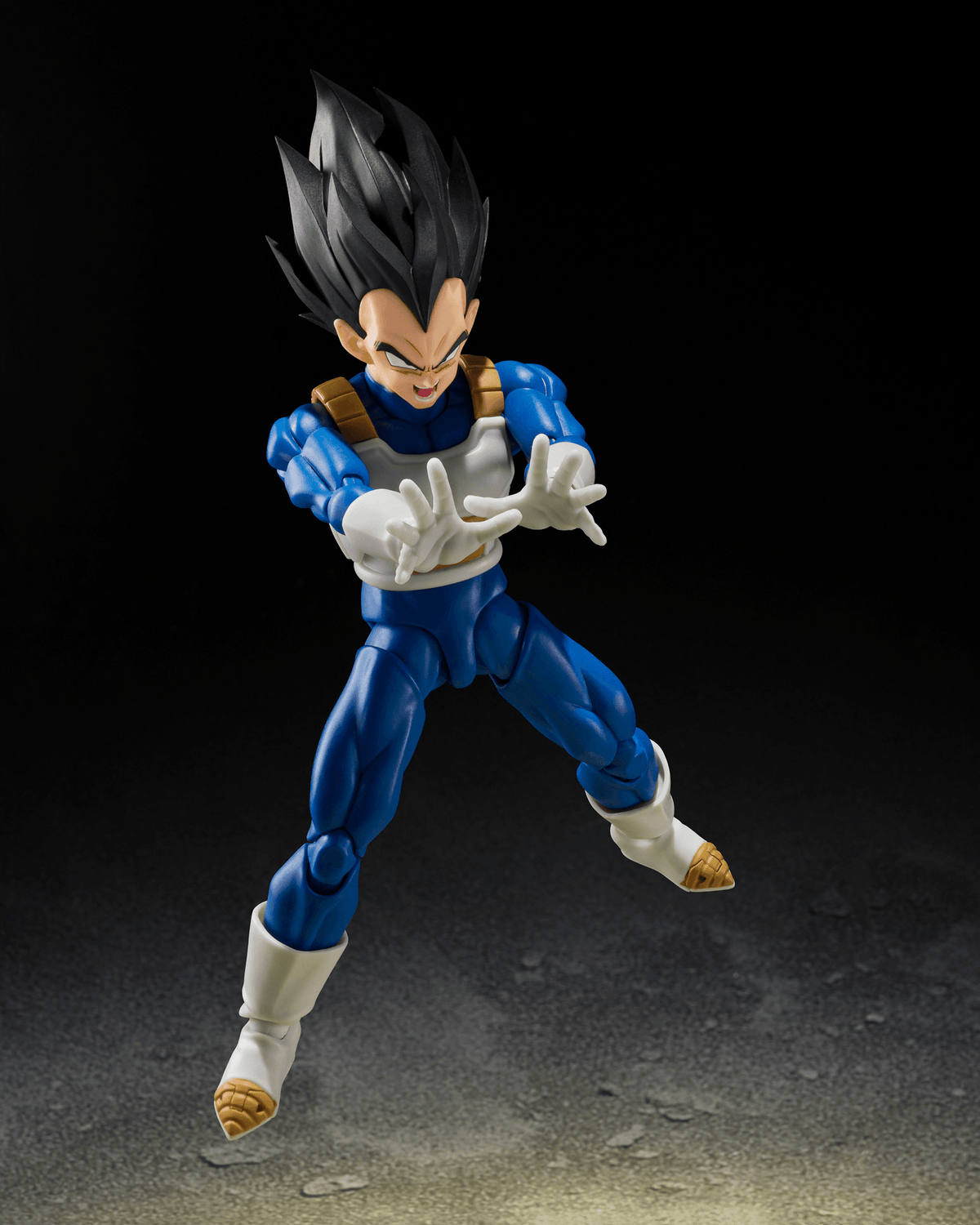 VEGETA <Z-FIGHTERS>
