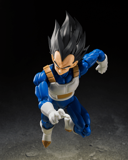 VEGETA <Z-FIGHTERS>