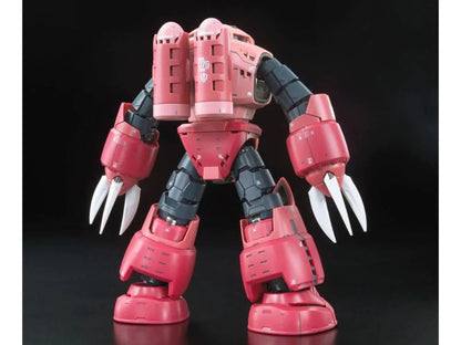 RG #16 MSM-07S Z'Gok (Char Aznable's Use)
