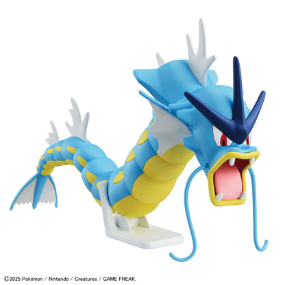 Model Kit Quick!! Gyarados/Leviator